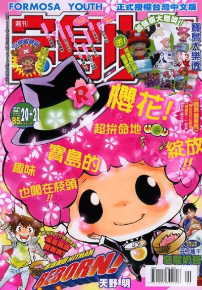 Cover of No. 20-21, 2010