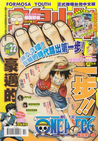 Cover of No. 22, 2010