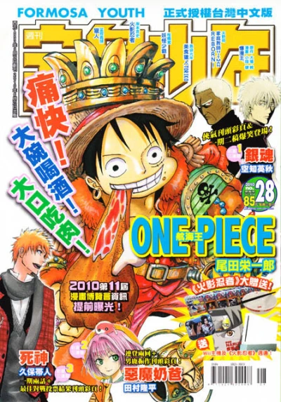 Cover of No. 28, 2010