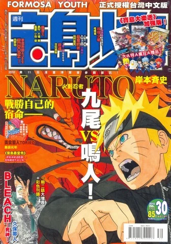 Cover of No. 30, 2010