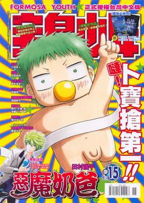 Cover of No. 15, 2011