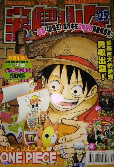 Cover of No. 25, 2011