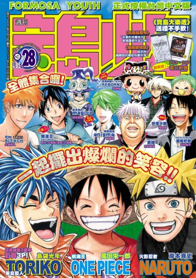 Cover of No. 28, 2011