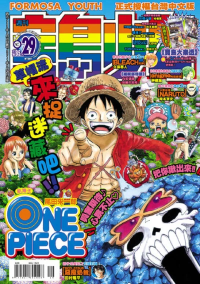 Cover of No. 29, 2011