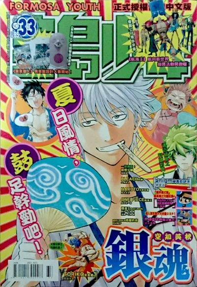 Cover of No. 33, 2011