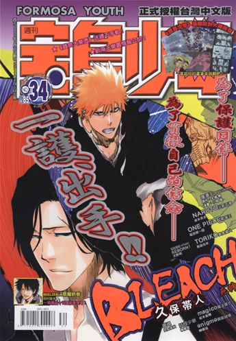 Cover of No. 34, 2011