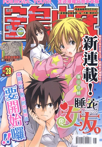 Cover of No. 28, 2012