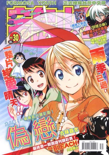 Cover of No. 30, 2012