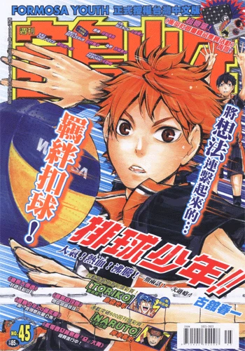 Cover of No. 45, 2012