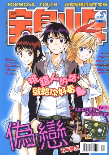 Cover of No. 25, 2013