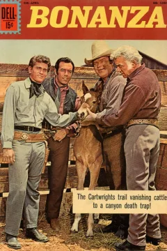 Bonanza