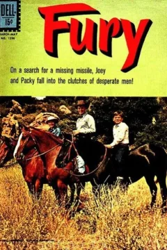 Fury