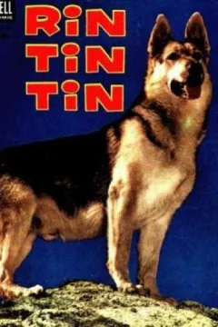 Rin Tin Tin