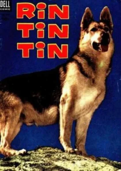 Cover of Rin Tin Tin
