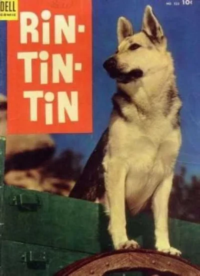 Cover of Rin-Tin-Tin