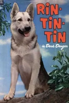Rin-Tin-Tin in Dark Danger