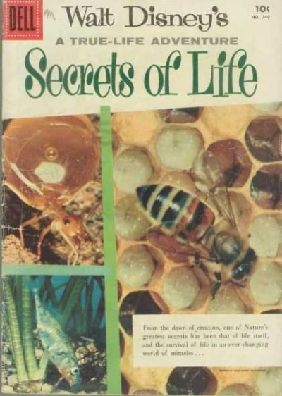 Cover of Walt Disney's A True-Life Adventure