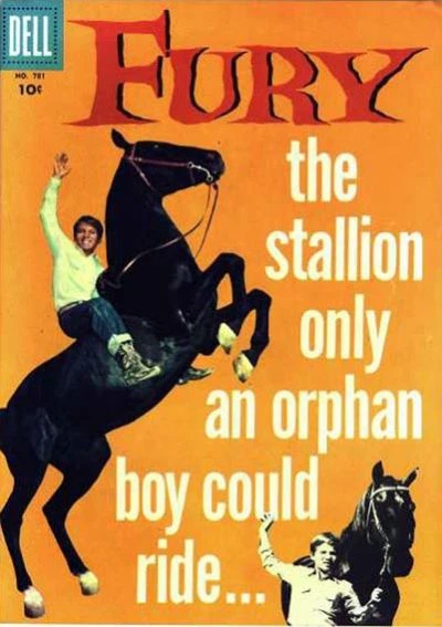 Cover of Fury