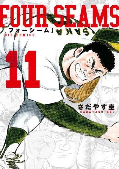 Cover of Vol. 11