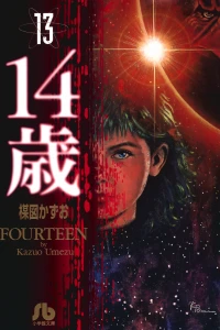 Vol. 13