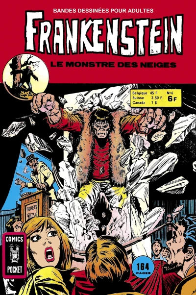 Cover of Issue #6
