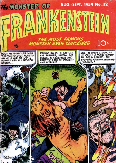 Cover of The Monster of Frankenstein