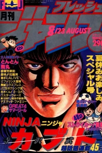 No. 8, 1987