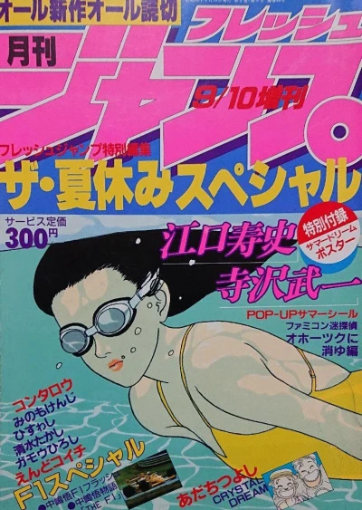 Cover of The Natsuyasumi Special