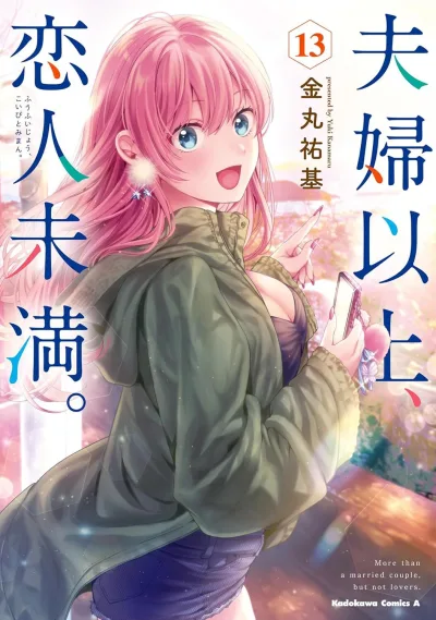 Cover of Vol. 13