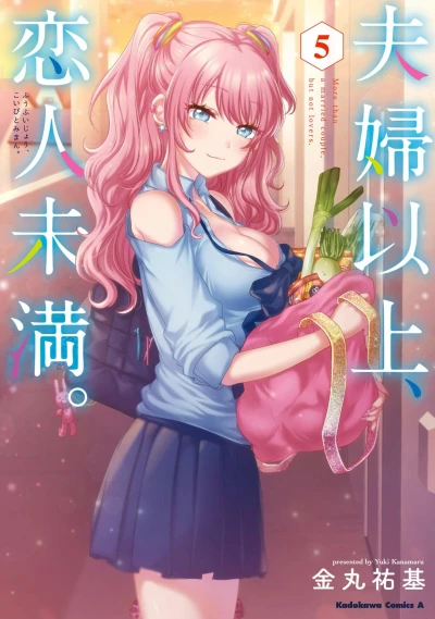 Cover of Vol. 5
