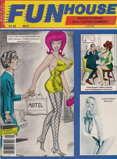 Cover of Issue #22 #15b