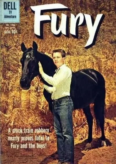 Cover of Fury
