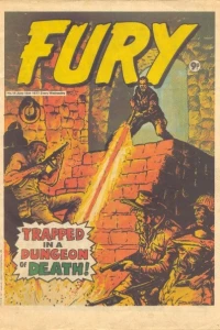 Fury 14