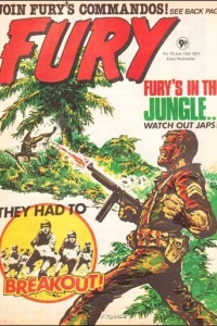 Fury 18