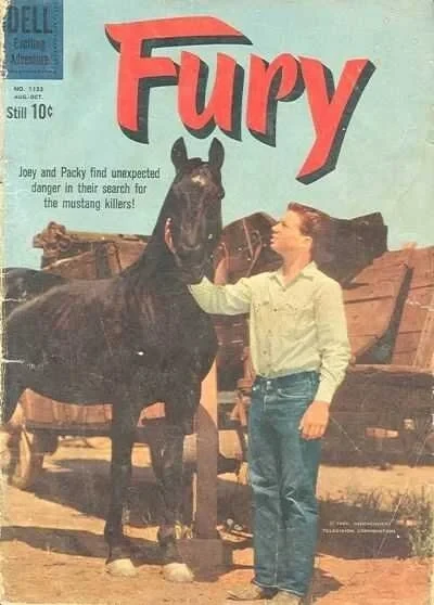 Cover of Fury