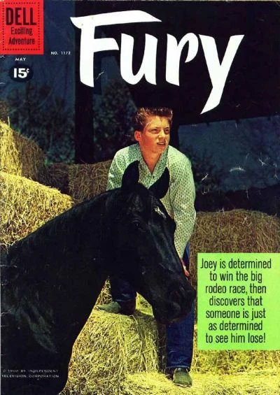 Cover of Fury