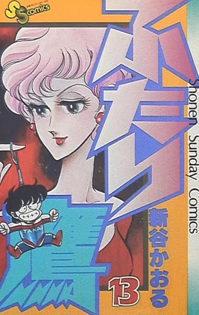 Cover of Vol. 13