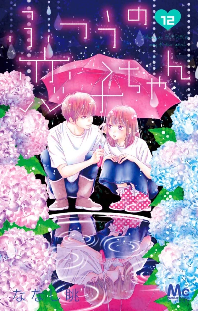 Cover of Vol. 12