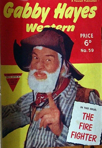 Cover of The Fire Fighter