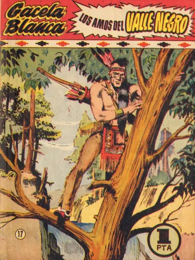 Cover of Issue #17