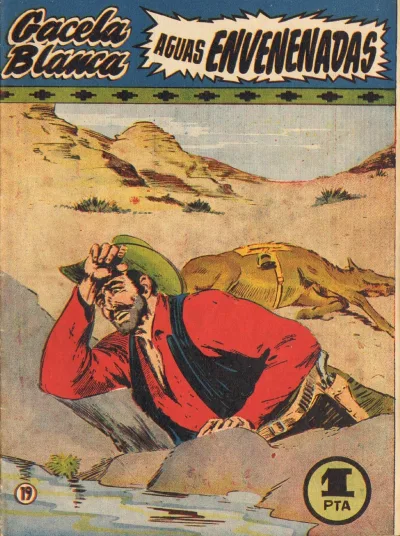 Cover of Issue #19