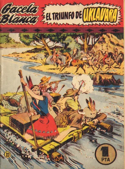Cover of Issue #20