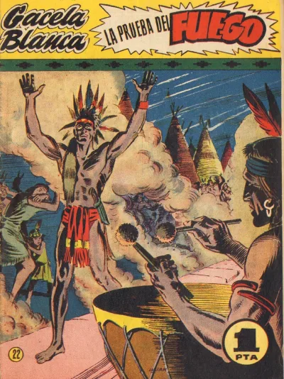 Cover of Issue #22