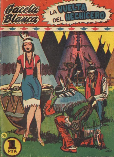 Cover of Issue #25