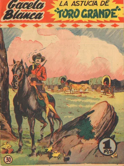 Cover of Issue #30