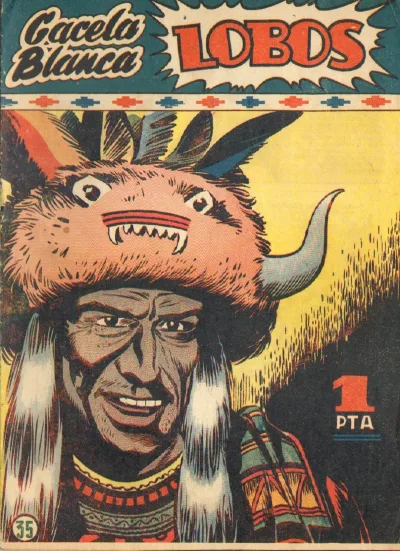 Cover of Issue #35