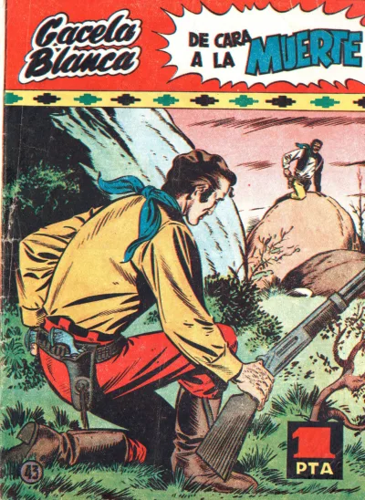 Cover of Issue #43