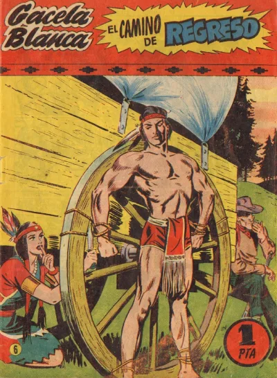 Cover of Issue #6