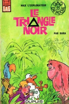 Le Triangle Noir
