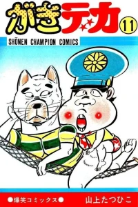 Vol. 11